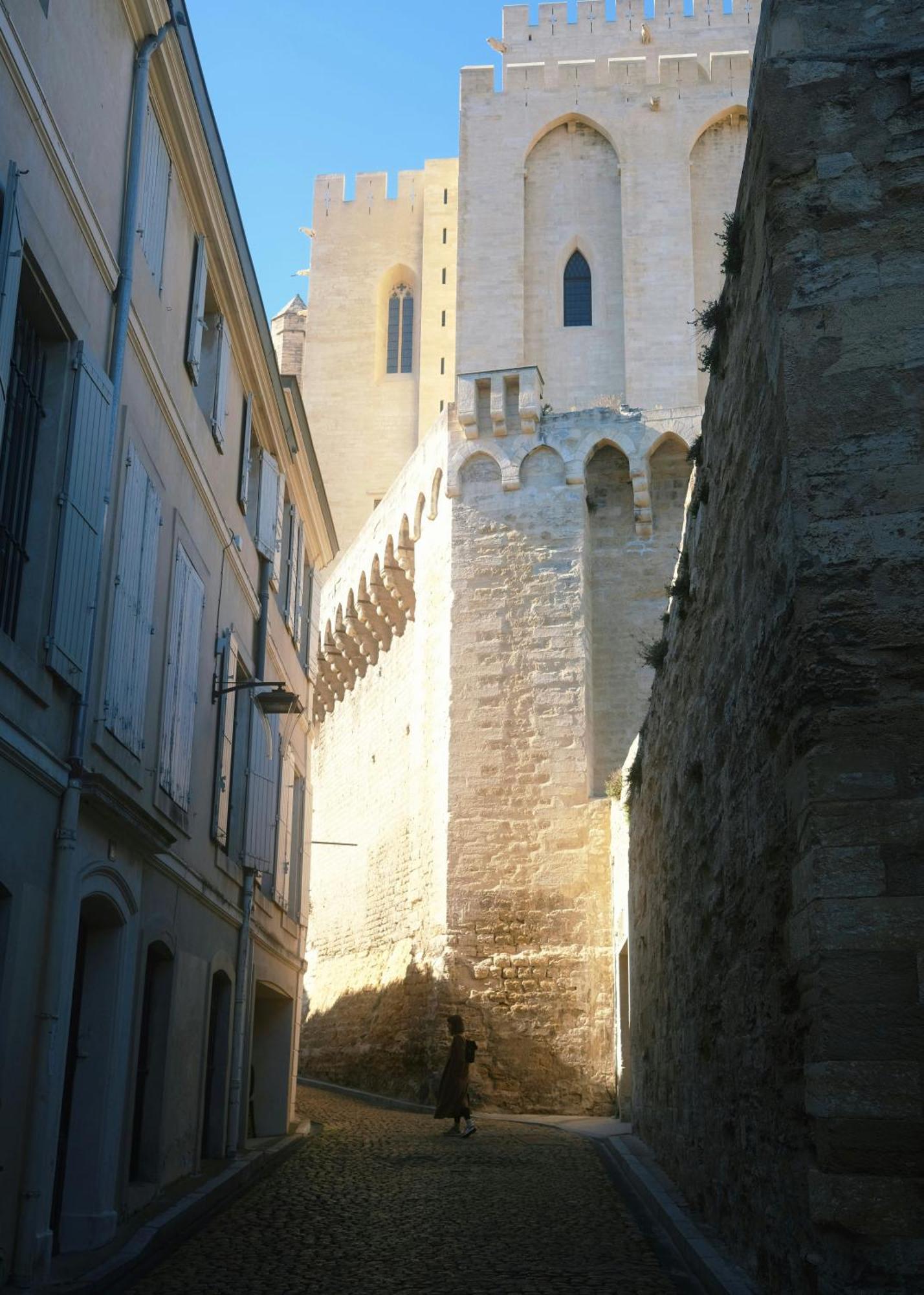 Le Petit Avignon - Chambres & Appartement A Deux Pas Du Pont D'Avignon Et Du Palais Des Papes ภายนอก รูปภาพ